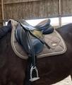 Selle Thorogood T8 NÉGOCIABLE
