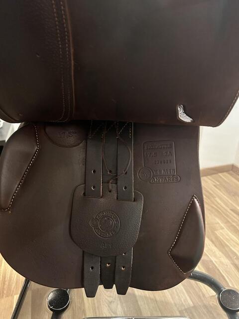 Selle Antares Signature
