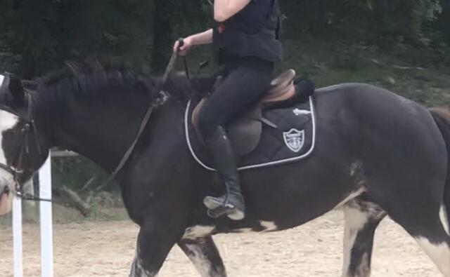 Tapis d’équitation