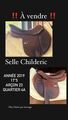 Selle childeric 17’5