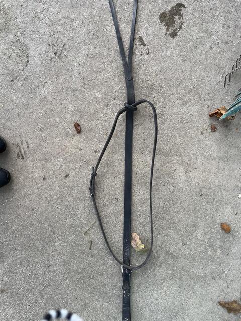 Martingale à anneaux