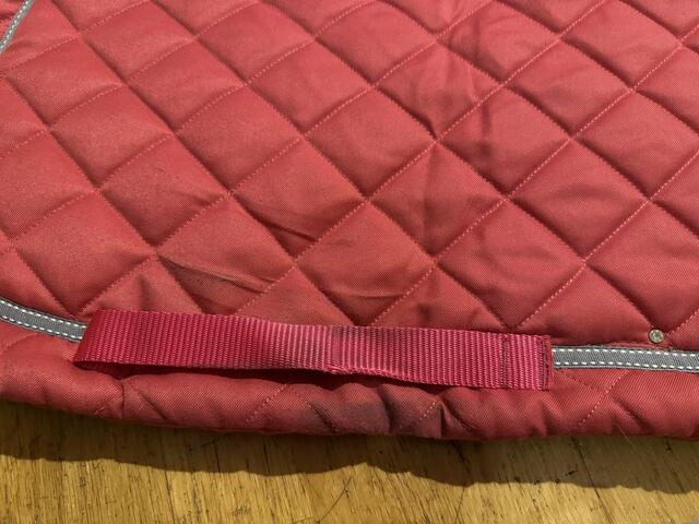 Tapis rose avec strass équitheme