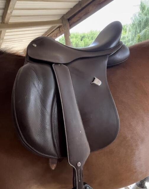 Selle bâtes