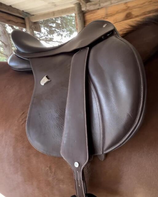 Selle bâtes