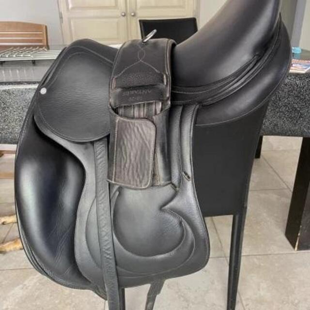 Selle Dressage Antarès Modèle Cadence