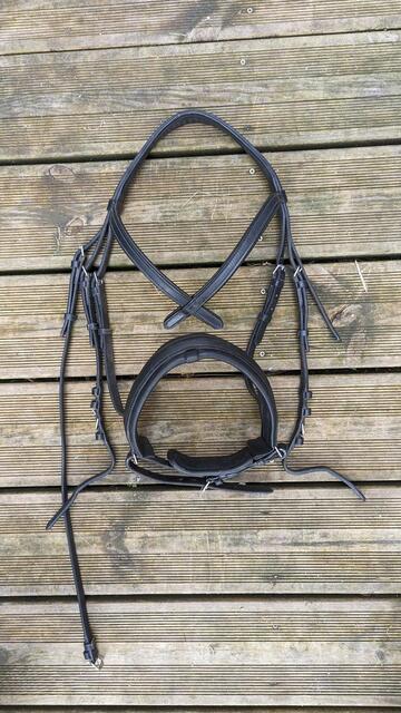 Bridon Waldhausen taille Full