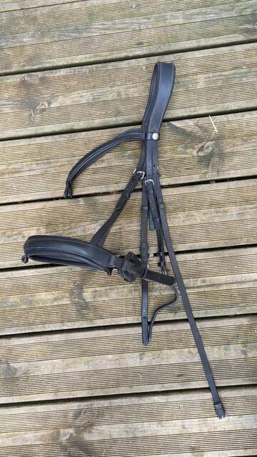 Bridon Waldhausen taille Full