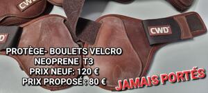 PROTÈGE-BOULETS CWD JAMAIS PORTÉS