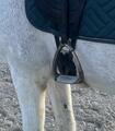 Selle de dressage Devoucoux Makila Harmonie
