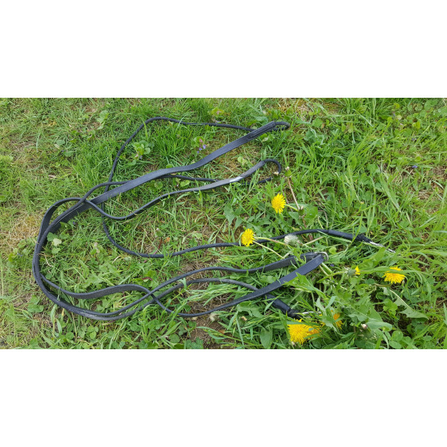 Rênes allemandes taille cheval