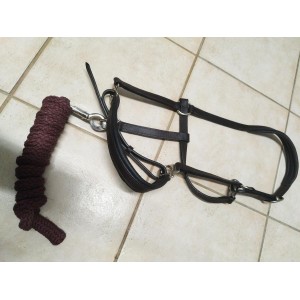 Licol en cuir + longe