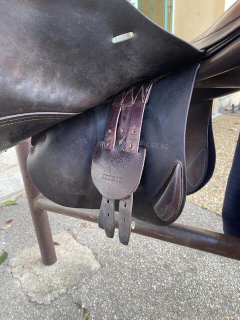 Selle Altaïr 17'