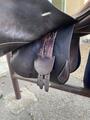 Selle Altaïr 17'
