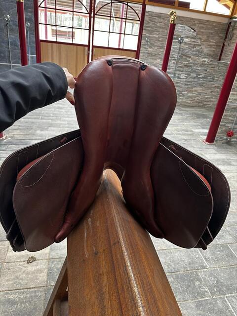 Selle renaissance