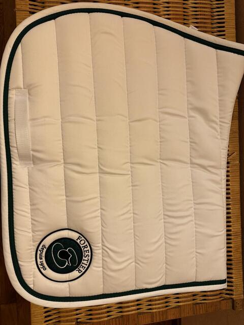 Tapis forestier