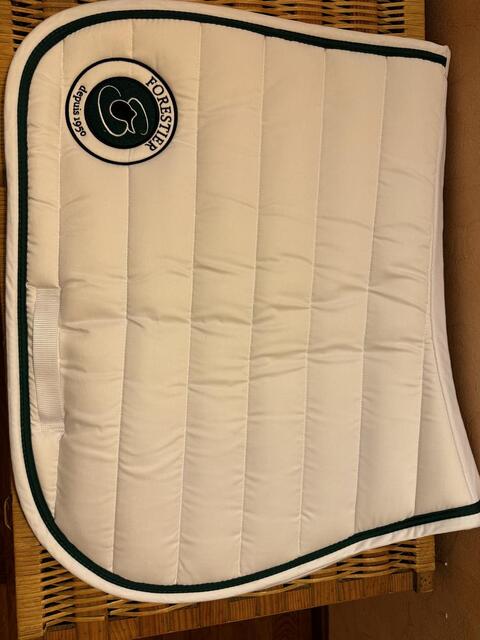 Tapis forestier