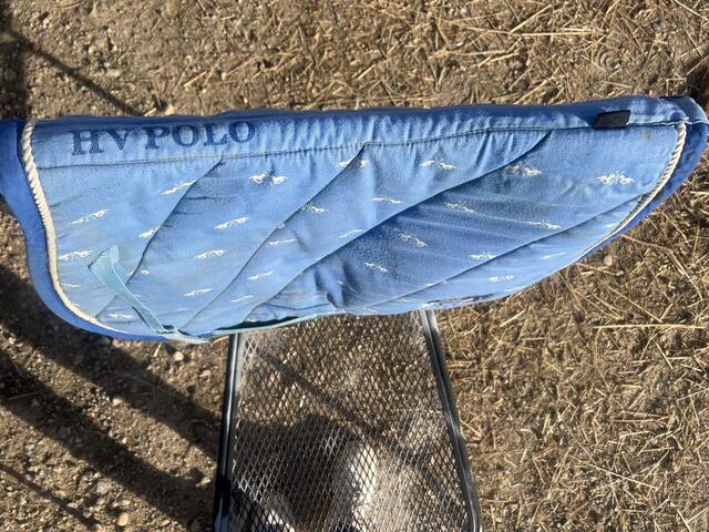 Tapis