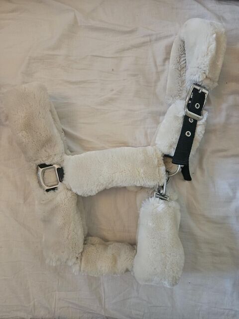 Licol teddy intégralement en mouton