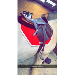 Selle en cuir