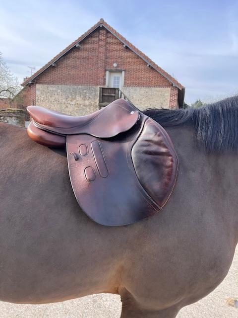 Selle d'obstacle plate 17 pouces. 2019. Très bon état. Dégarrotte bien