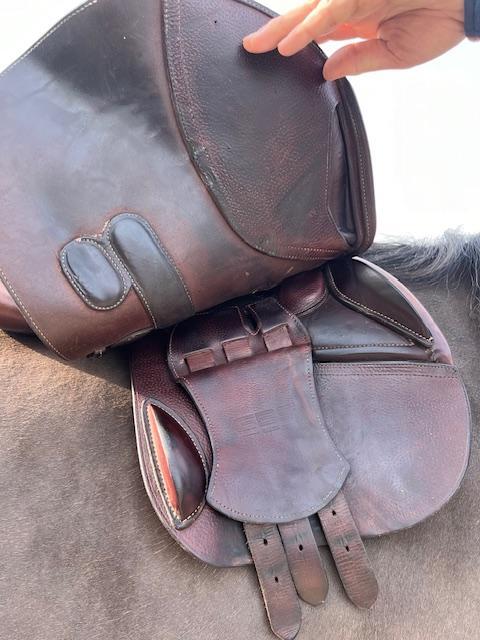 Selle d'obstacle plate 17 pouces. 2019. Très bon état. Dégarrotte bien