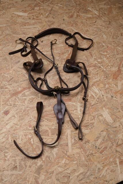 Collier de chasse Time Rider marron taille cheval