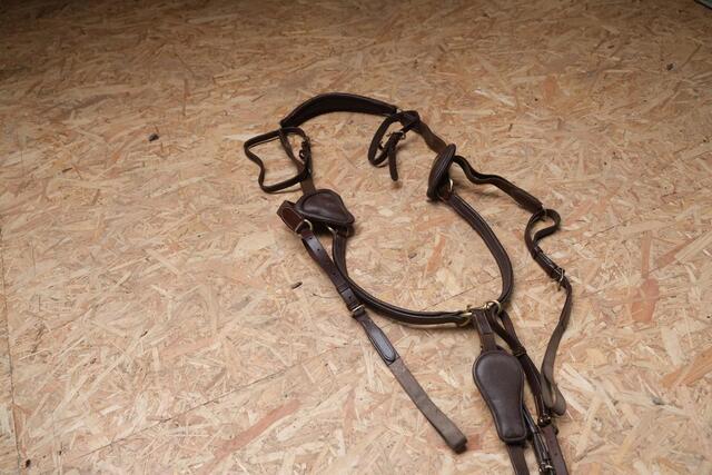 Collier de chasse Time Rider marron taille cheval