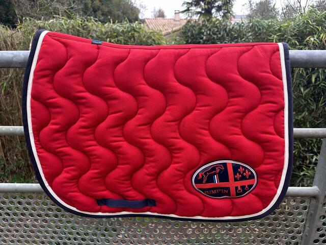 Tapis cheval