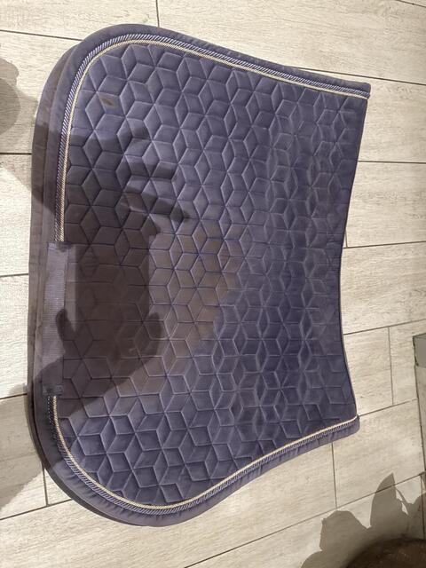 Tapis Kentucky violet