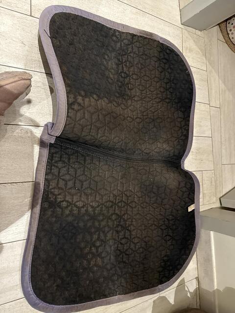 Tapis Kentucky violet