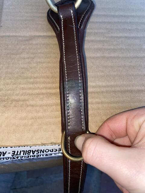 Collier de chasse