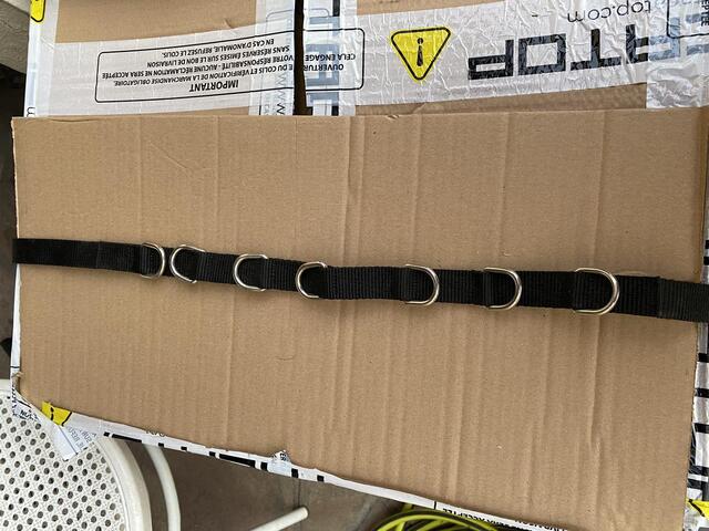 Rênes fixes