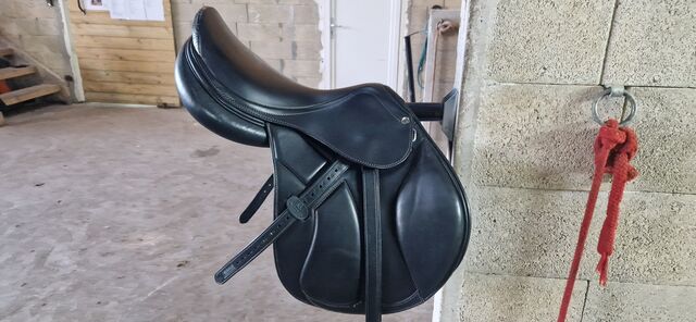 Selle obstacle Acavallo Modigliani