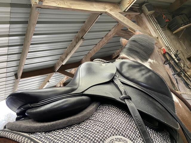 Selle noire CWD cso/loisir