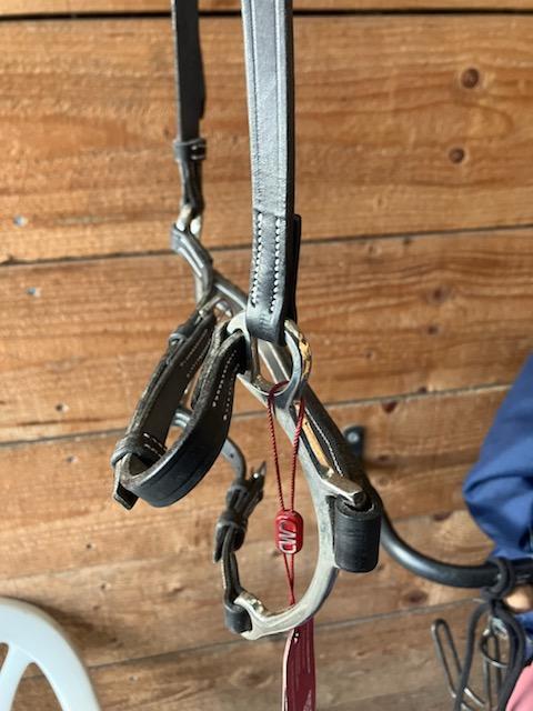 muserolle hackamore CWD