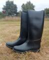 Botte