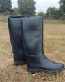 Botte
