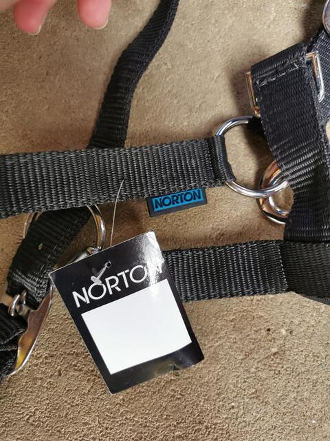 Licol Norton