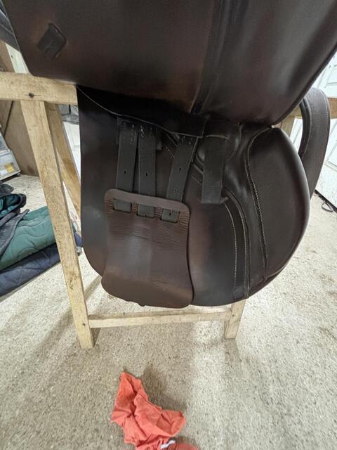 Selle mixte albion