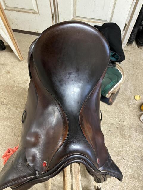 Selle mixte albion