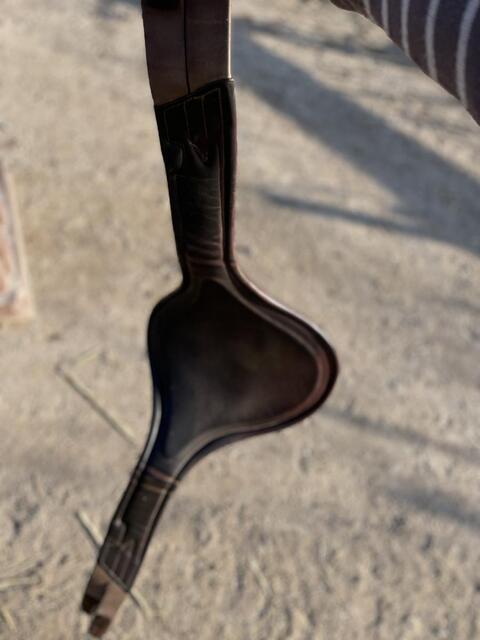 Bavette Equipe