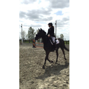 Veste Kingsland taille 38