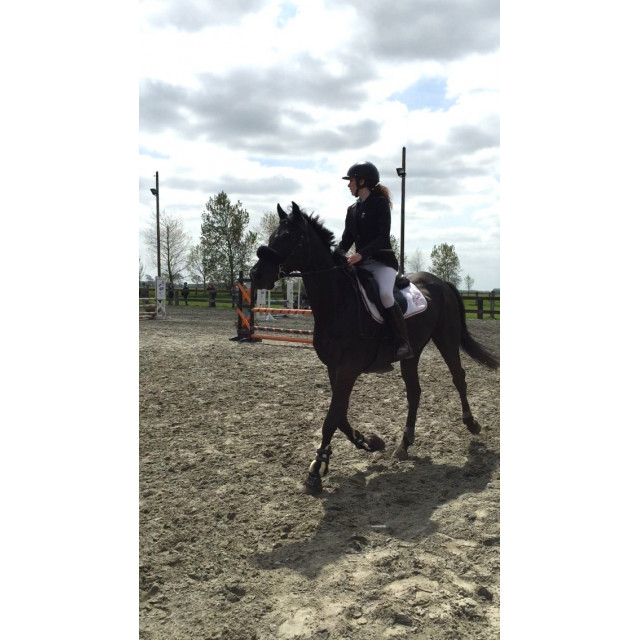 Veste Kingsland taille 38