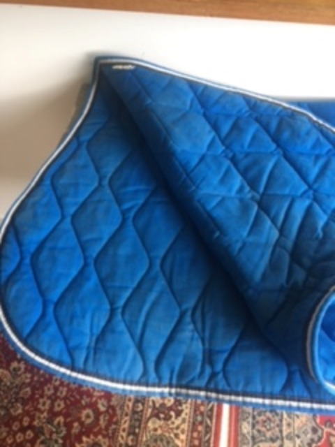 tapis bleu