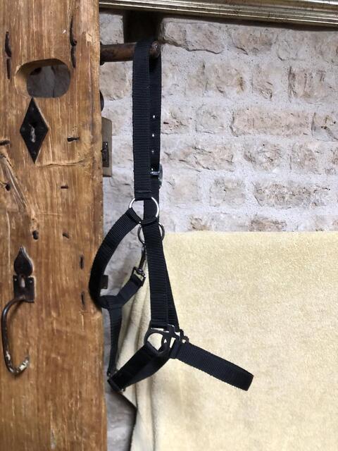 Licol noir cob