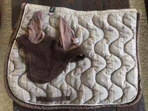 Tapis Paddock et bonnet équiline