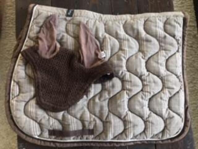 Tapis Paddock et bonnet équiline