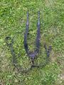 Collier de chasse avec martingale CWD