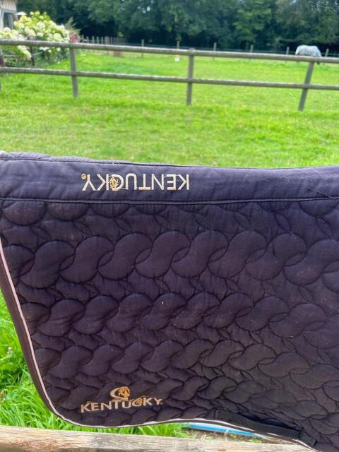 Tapis Kentucky