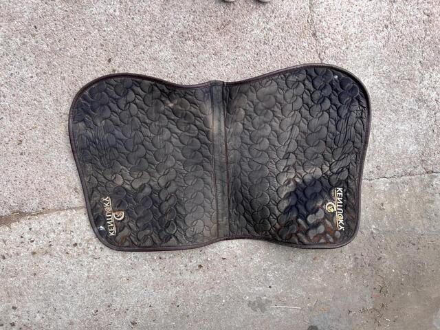 Tapis Kentucky